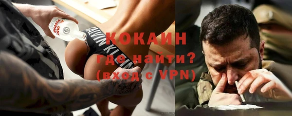 крисы Алексин