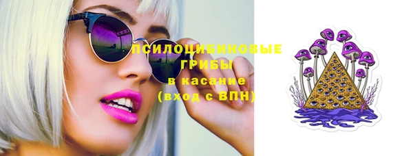 гидропоника Алзамай