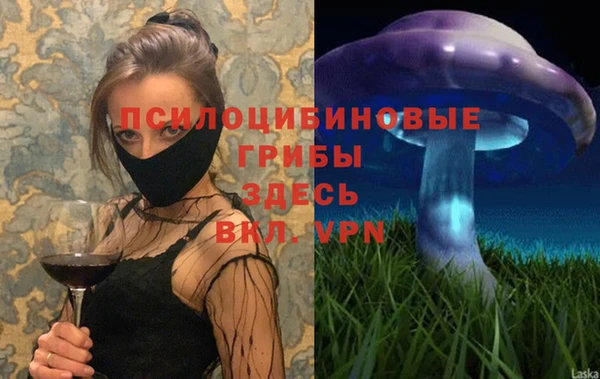 гидропоника Алзамай