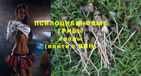 гидропоника Алзамай