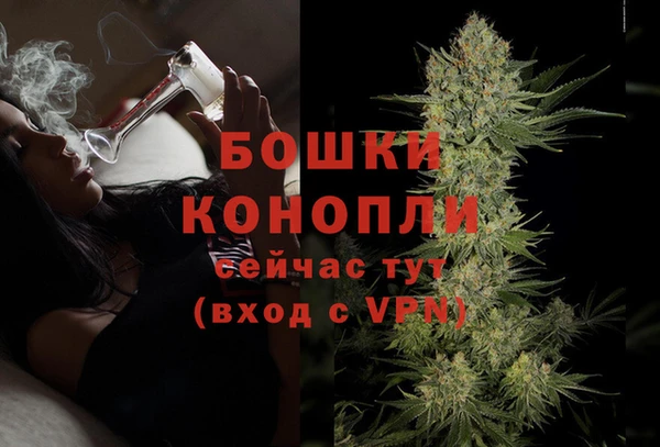 гидропоника Алзамай