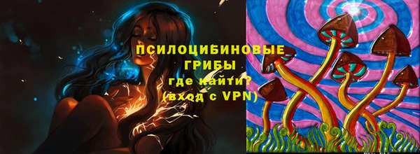 гидропоника Алзамай